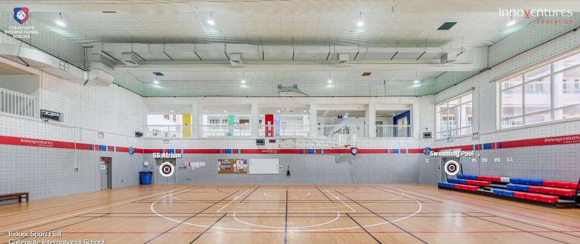 Collegiate International School